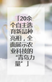 20余个自主选育新品种亮相，全面展示农业科技的“青岛力量”