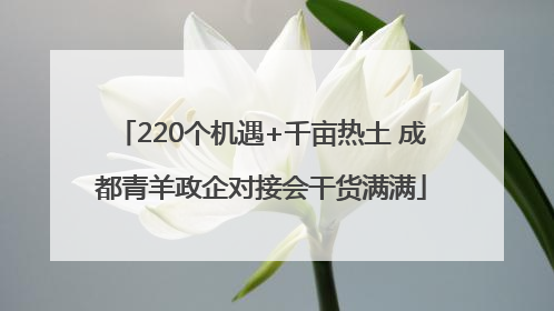 220个机遇+千亩热土 成都青羊政企对接会干货满满