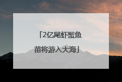 2亿尾虾蟹鱼苗将游入大海