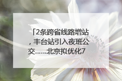 2条跨省线路增站，丰台站引入夜班公交……北京拟优化7条公交线！