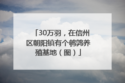 30万羽，在信州区朝阳镇有个鹌鹑养殖基地（图）