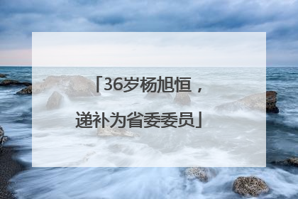 36岁杨旭恒，递补为省委委员