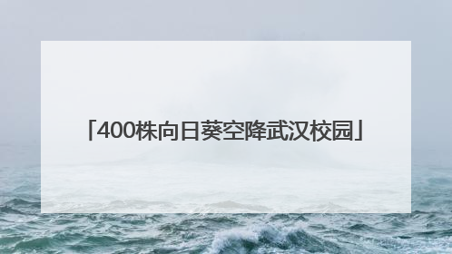 400株向日葵空降武汉校园