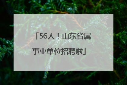56人！山东省属事业单位招聘啦