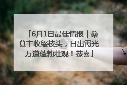 6月1日最佳情报｜桑葚丰收缀枝头，日出霞光万道蓬勃壮观！恭喜