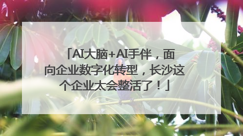 AI大脑+AI手伴，面向企业数字化转型，长沙这个企业太会整活了！