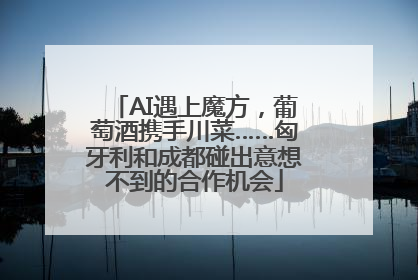 AI遇上魔方，葡萄酒携手川菜……匈牙利和成都碰出意想不到的合作机会