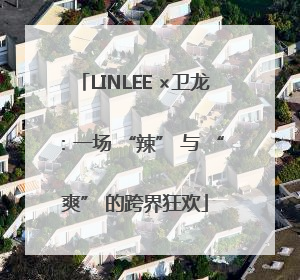 LINLEE ×卫龙：一场 “辣” 与 “爽” 的跨界狂欢
